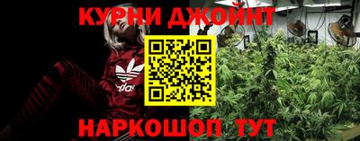 крисы Янаул