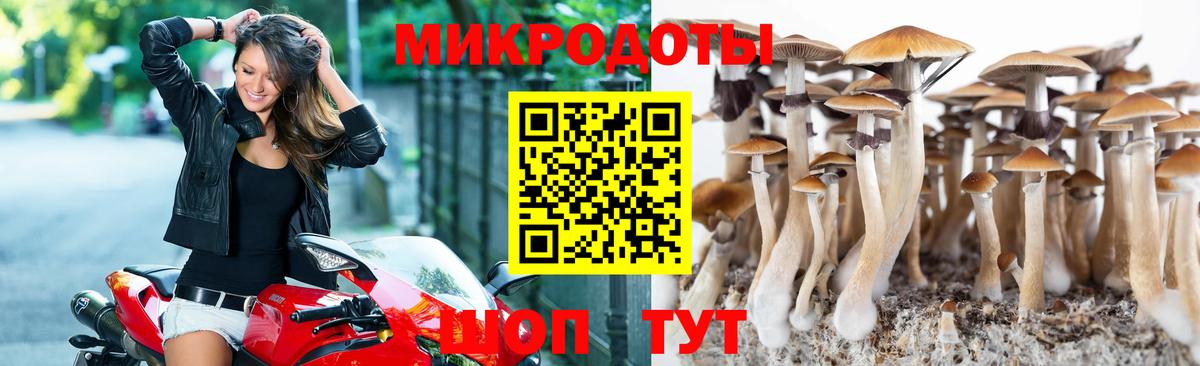 Дятьково  Псилоцибиновые грибы MAGIC MUSHROOMS  Вход с VPN  Галлюциногенные грибы GOLDEN TEACHER 